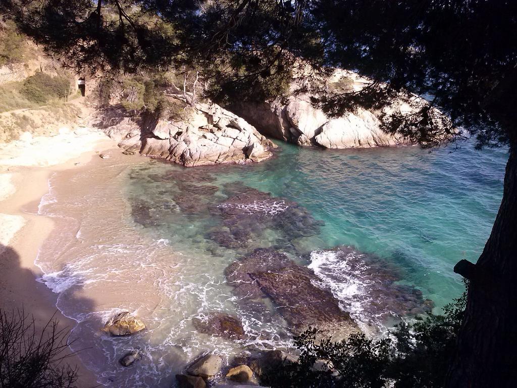 Hostal La Marina Platja d'Aro Dış mekan fotoğraf