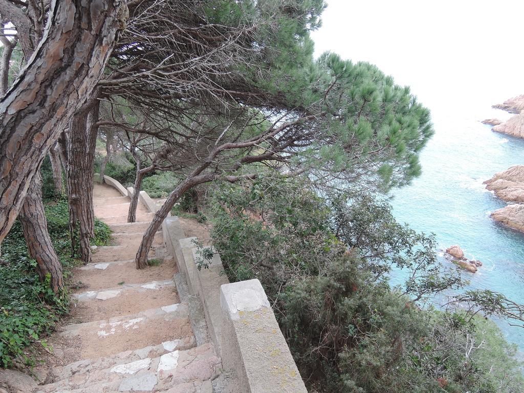 Hostal La Marina Platja d'Aro Dış mekan fotoğraf